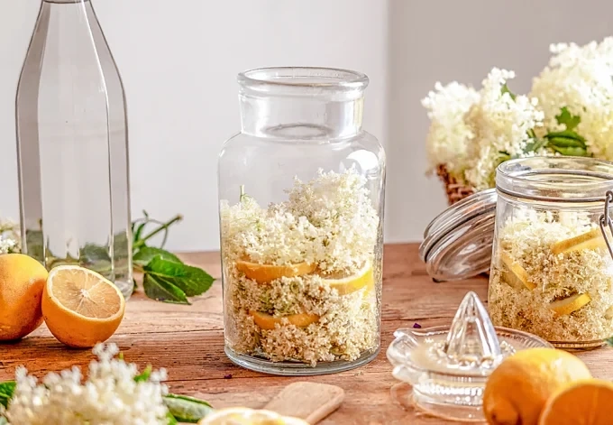 Бял бъз – лечебни свойства 1 Бял бъз – лечебни свойства