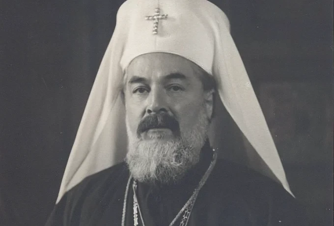 image 14