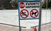 picture1