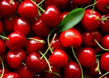 (https://www.mzh.government.bg/bg/)