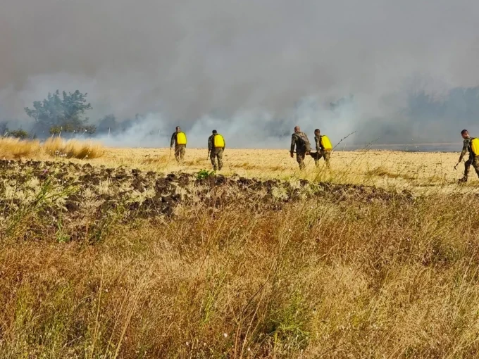 fire brigade 1