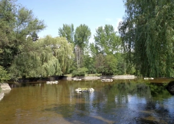 Езерото с лилиите в парк „Врана“