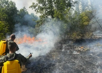 (https://www.mod.bg/)