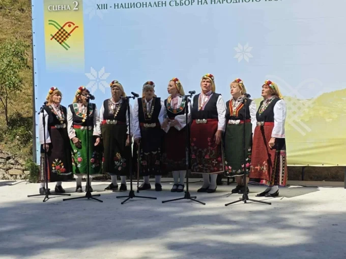 kopriv6tica 5