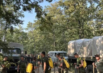 Военнослужещи от Сухопътните войски и ВВС участват в гасенето на пожари в Пирин и Община Сунгурларе (снимка: МО)