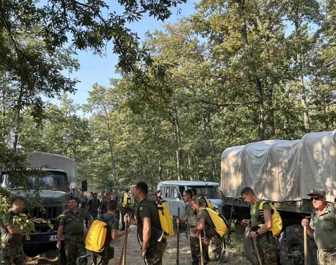 Над 1000 пожара за седмица: държавата мобилизира ресурси, обществото – внимание