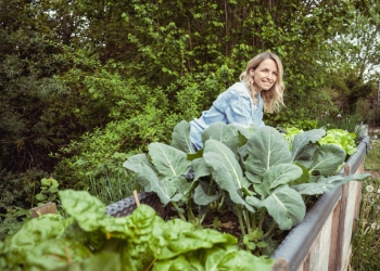 7 чести грешки, които да избягвате при направата на повдигната градинска леха