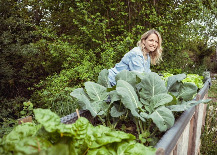 7 чести грешки, които да избягвате при направата на повдигната градинска леха