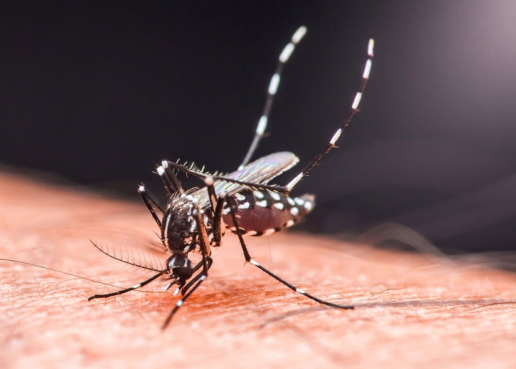 Китай въвежда ограничения като при COVID заради избухналата епидемия от чикунгуня