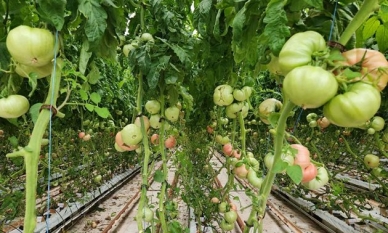 7904899e fe6c 4002 a8cf 67bde1d4cc47