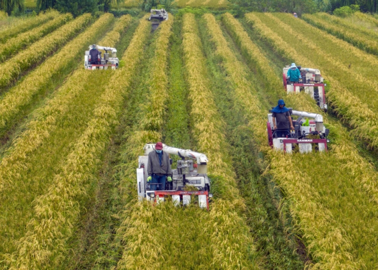 Продоволствената криза в Китай отново е тук