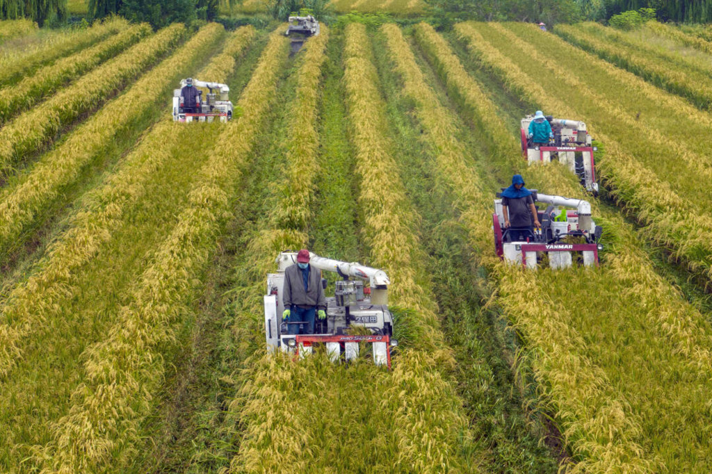 Продоволствената криза в Китай отново е тук