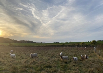 Християнски фермер се противопоставя на комунизма и либерализма и търси да прослави Бога чрез грижата си за земята