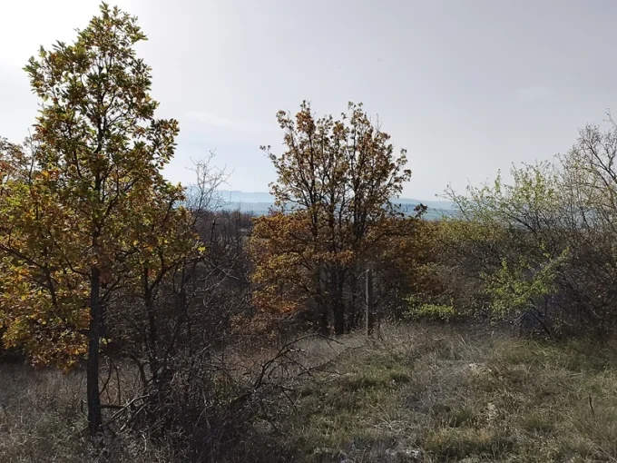 Боевете край Сливница оживяха - 140 години по-късно 12 pejzazh