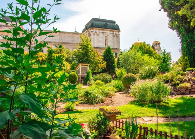 Над 1500 нови дръвчета в София 1 8e70969c 4f05 4dcb ab8c e77ff1724128