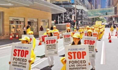 Практикуващите Фалун Гонг участват в парад в Сидни, Австралия на 10 октомври 2025 г. Уон Нан/NTD TV