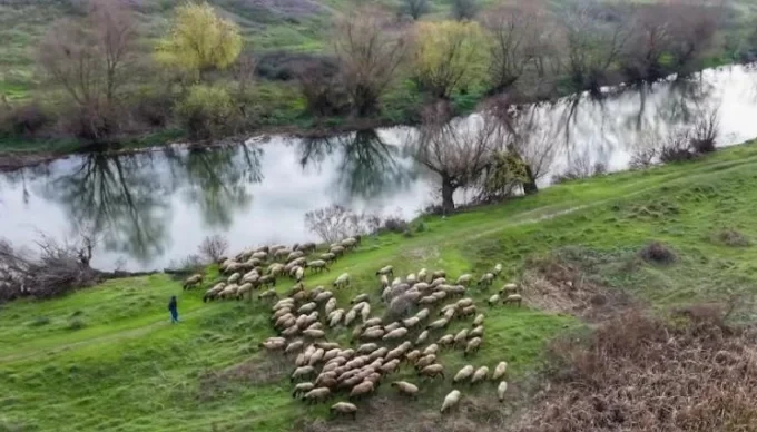 Симеон Караколев подкрепи гръцките фермери и поиска адекватна земеделска политика от ЕС 2 image 32