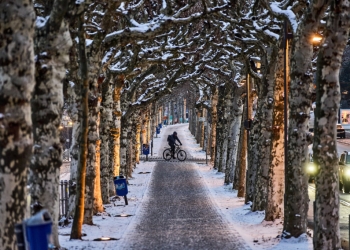 Сняг и лед спряха полети и блокираха магистрали в части от Европа 3 Снегът и леда блокираха полети и задръстиха магистрали в части от Европа
