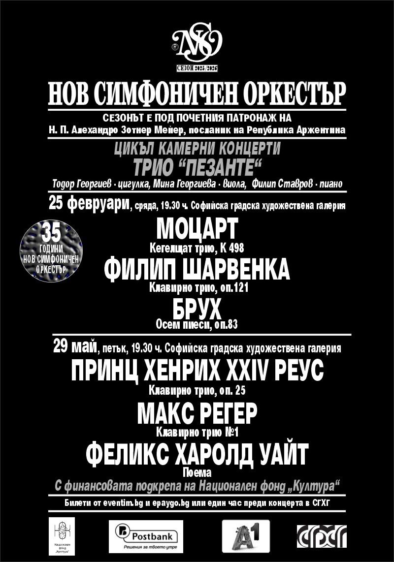 Нов симфоничен оркестър представя трио „Пезанте“ 4 0e073aca-4b4e-465e-bf10-9f3ffb20bd9e.jpg