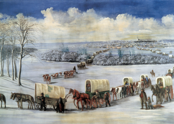 Може ли прекалено удобният живот да навреди на здравето ни? 7 Твърде ли удобно живеем, за да сме здрави?