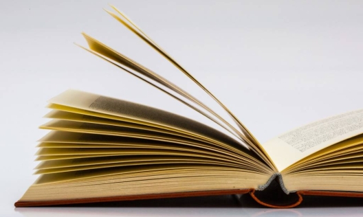 dc5aeaae 55cc 4b7e a51a 575fe3232cb6