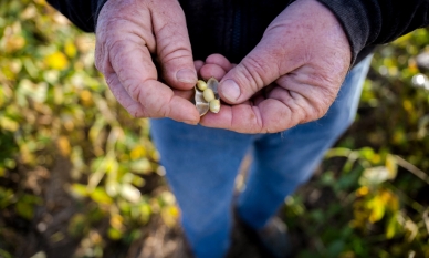 ООН предупреди, че прекъсването на корабоплаването през Ормузкия проток може да предизвика продоволствена криза заради спирането на доставките на торове