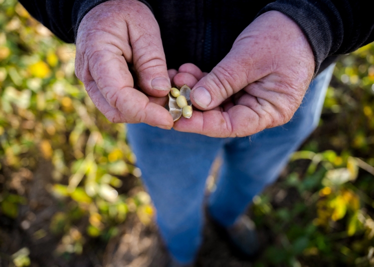 ООН предупреди, че прекъсването на корабоплаването през Ормузкия проток може да предизвика продоволствена криза заради спирането на доставките на торове
