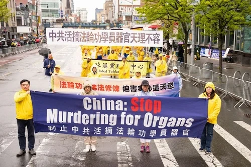 България почете 27 години от мирния апел в Пекин, бележещ началото на геноцида срещу Фалун Дафа 4 stop murdering for organis in china