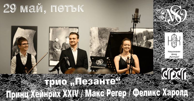 35 години Нов симфоничен оркестър: Камерна вечер с трио „Пезанте“ 2 484d8ef7-1854-4667-8cc9-9048be9d1a95.jpg