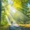 Как природата пренастройва мозъка ви 23 id5997690 trail in woods 2660790037 1