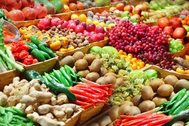 НАП затяга контрола върху вноса на земеделска продукция: проверяват фактури, цени и реалната стойност на сделките